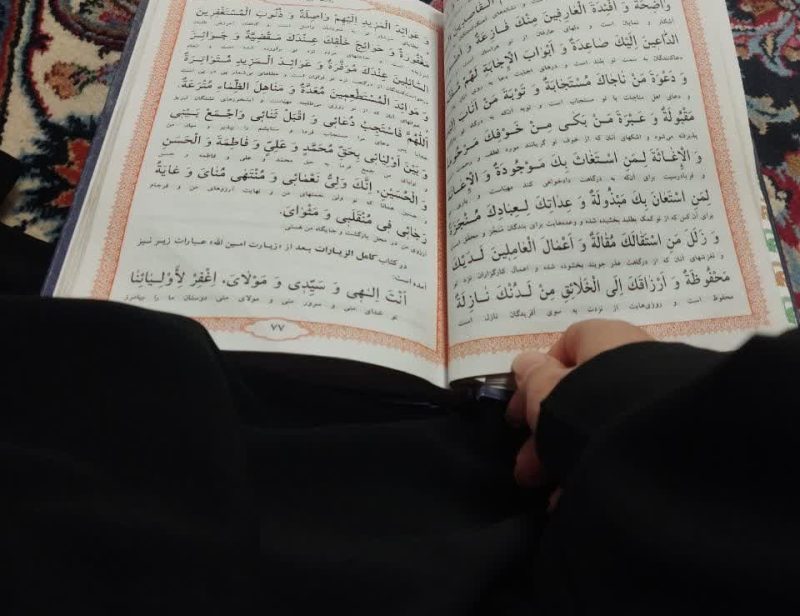 photo_2025-01-30_12-56-25 (4)