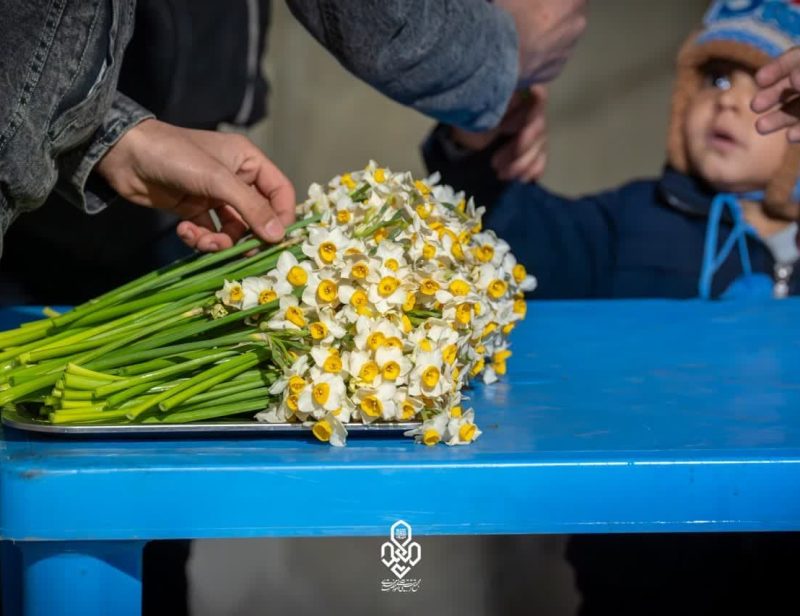 photo_2025-02-13_22-30-40 (2)